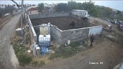 Kangal köpeğini tek hamlesiyle etkisiz hale getirdi! Şaşkına çeviren görüntü