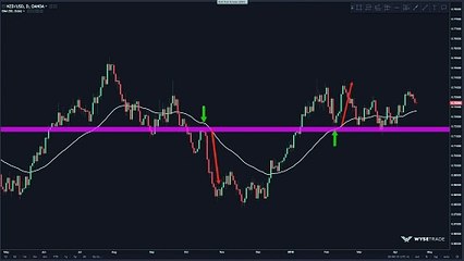 E14 THE DYNAMIC TREND COMBO