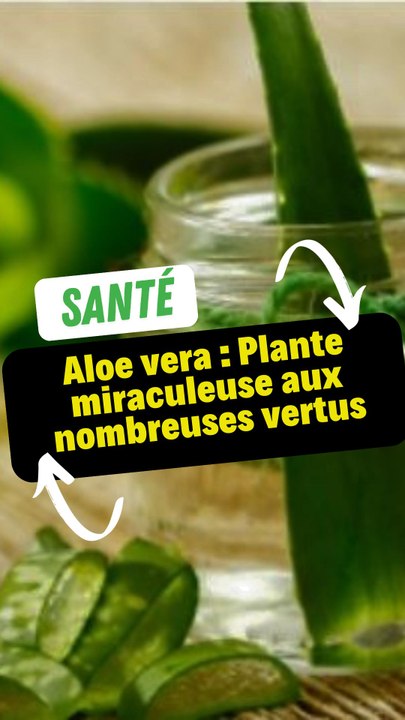 Aloe vera : Plante miraculeuse aux nombreuses vertus