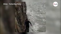 Surfer sehen etwas Kurioses im Meer und stürzen sich sofort in die Wellen!