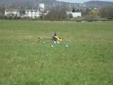 Oli69 et son Honey Bee King 2