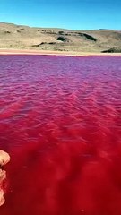 Video que muestra al río Nilo con supuestas aguas de color rojo es falso
