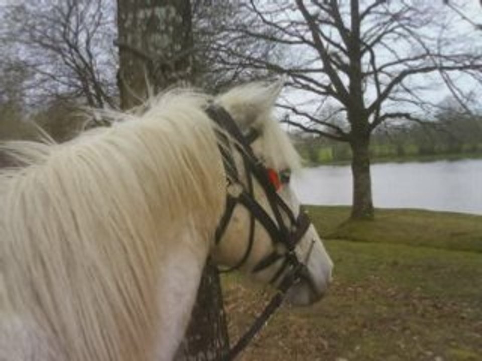 Randonnée du 30 mars à cheval