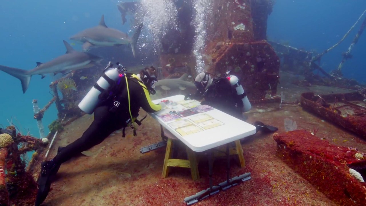 Tabletop Enthusiasts Dive Into Board Game Amidst Sharks