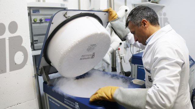 Más de 60.000 embriones congelados están abandonados en España