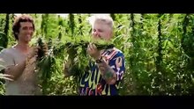 PRODUKUJĄ KOSZULKI Z KONOPI W 100% W POLSCE! Maciek Kowalski - Kombinat Konopny