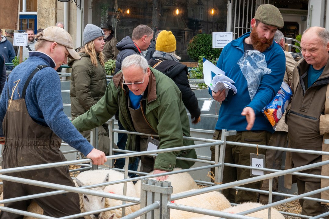 Uppingham Fatstock Show 2023