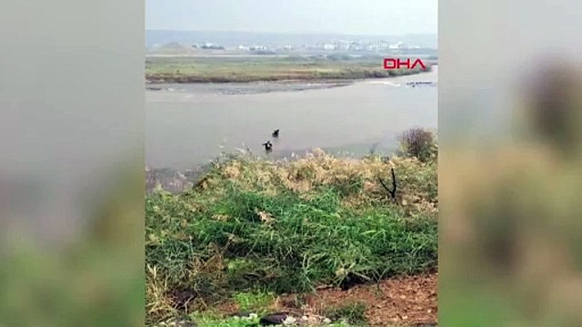 Şırnak'ta kaybolan genç için Dicle Nehri'nde arama çalışmaları sürüyor