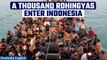 Indonesia Witnesses Arrival of Hundreds of Rohingya Refugees| Oneindia News