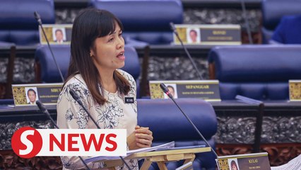 Respect country's sovereignty, laws when performing in Malaysia, says Teo