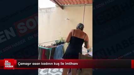 Çamaşır asan kadının kuş ile imtihanı