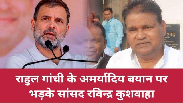 बीजेपी सांसद का बयान,पीएम पर टिपण्णी को बताया राहुल गांधी की मूर्खता