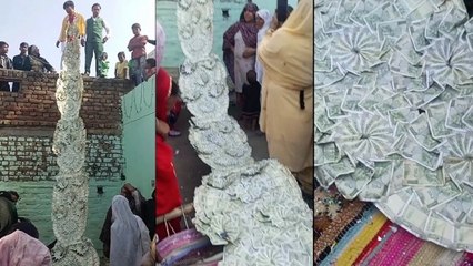 Young Boy Wearing 500 Notes Wedding Garland Viral Video Truth Reveal, 20 Lac पर Public Reaction