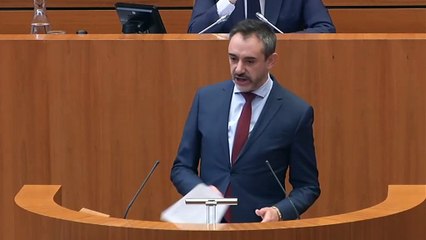 Intervención de David Hierro en el pleno de las Cortes