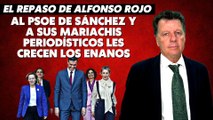 Alfonso Rojo: “Al PSOE de Sánchez y a sus mariachis periodísticos les crecen los enanos”