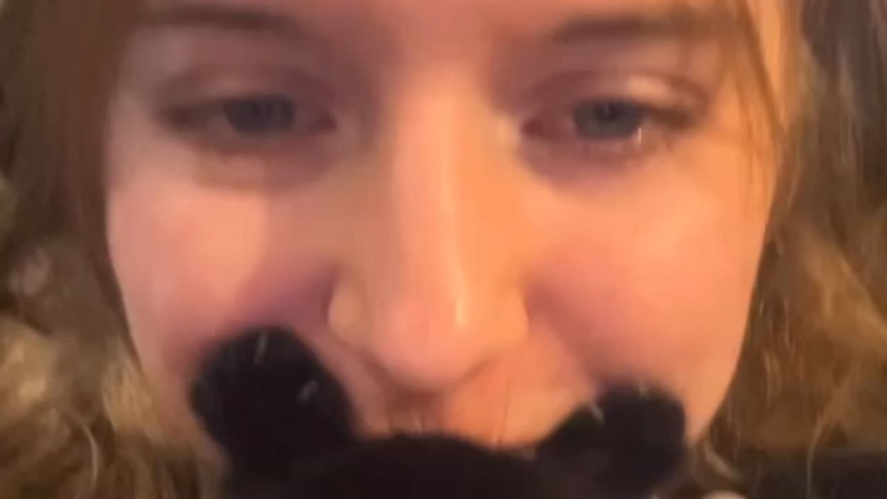 Pet dog creepily stares at the owner who is cuddling with the cat *Hilarious*