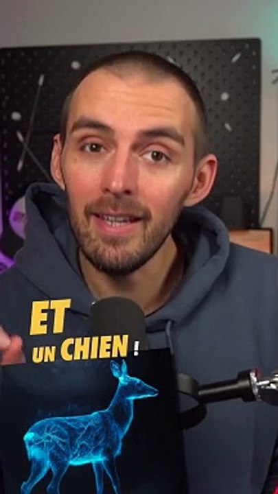 Le Patronus de Rogue est un chien ? 