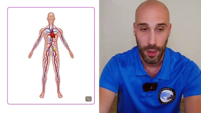 EJERCICIOS para MEJORAR la CIRCULACION TUMBADO en adultos mayores