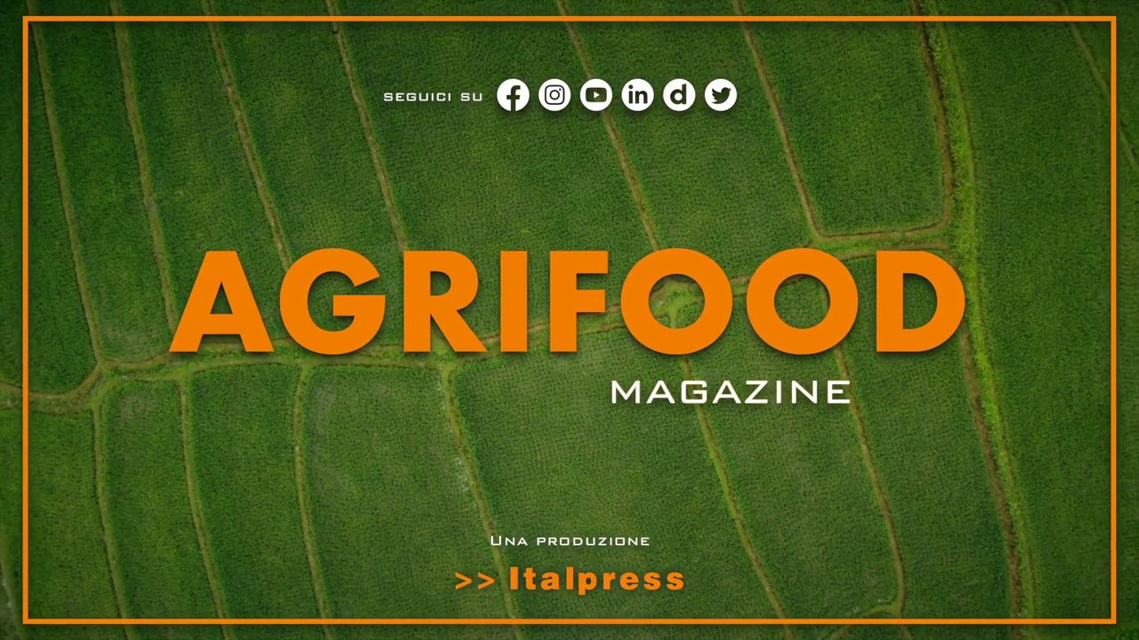 Agrifood Magazine - 22/11/2023