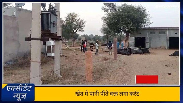 चूरू: खेत में लगे ट्रांसफार्मर से दौड़ा करंट, चपेट में आने से बिछी आठ लाशें, जानें कहा?