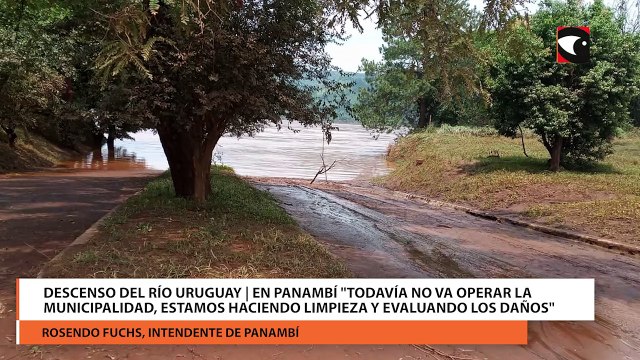 Descenso del Río Uruguay | En Panambí todavía no va operar la municipalidad, estamos haciendo limpieza y evaluando los daños