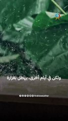 بين خفة وغزارة .. تختلف شدّة الأمطار عند هطولها .. فلماذا يحدث هذا الاختلاف؟