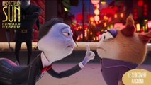 INSPECTEUR SUN ET LA MALÉDICTION DE LA VEUVE NOIRE Bande Annonce VF (2023)