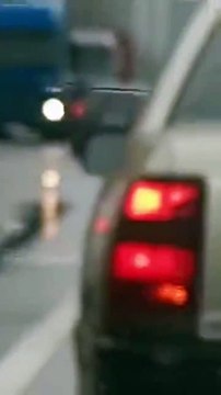 Un intrus se fait un trajet gratuit en voiture