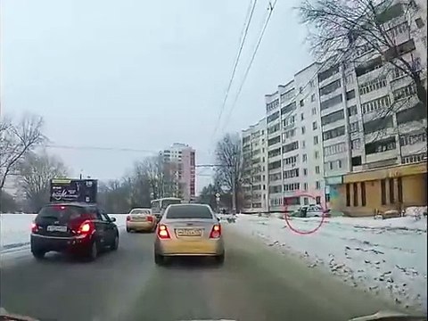 Un policier aide un chien à traverser la route