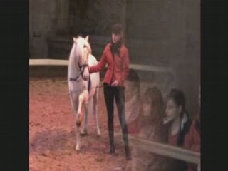 Chantilly-musée-cheval