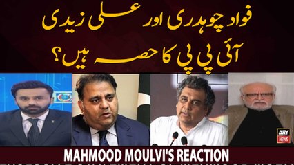 Is Fawad Chaudhry And Ali Zaidi Left Istehkam-e-Pakistan Party?