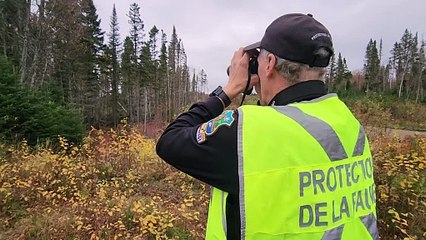 22 nov TOPO SL braconnage Caribou