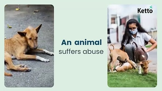 Saving lives, sheltering animals & preventing child hunger are a single tap away with Ketto App.