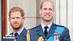 Prince William Allegedly 'Won't Shed Tears' Over Prince Harry Skipping Holiday's With Royal Family