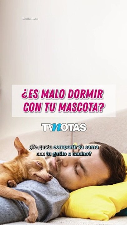¿Es malo dormir con tu mascota?
