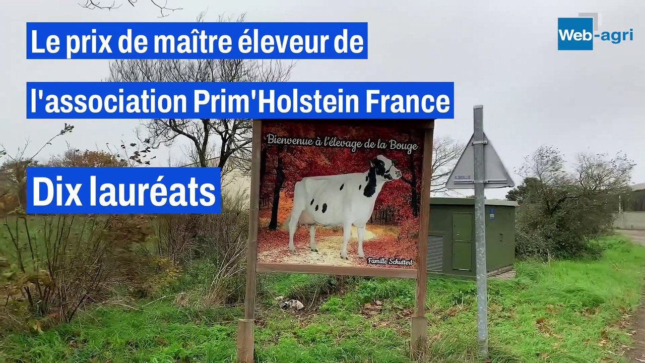 Au Gaec de la Bouge : Faire vieillir les vaches