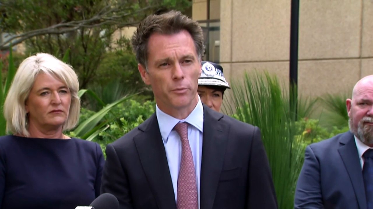 NSW Police charge 23 pro-Palestinian activists over protest arrival of Israeli cargo ship at Sydney's Port Botany