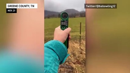 Near-hurricane-force winds in Tennessee mountain trail