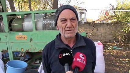 43 Çeşit Ata Tohumuyla Organik Ürün Elde Ediliyor