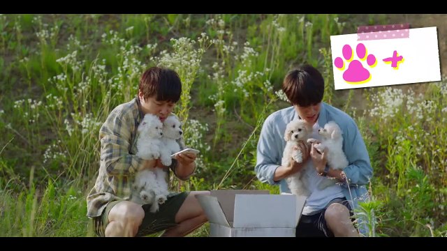 映画『マイ・ハート・パピー』