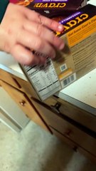 Crav'n Flavor Mozzarella Sticks