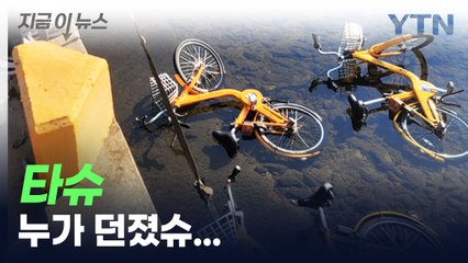 강에 던져진 대전 공영자전거 '타슈', 누가 그랬나 조사해보니... [지금이뉴스] / YTN