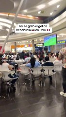Hinchada venezolana celebró el gol de empate ante Perú