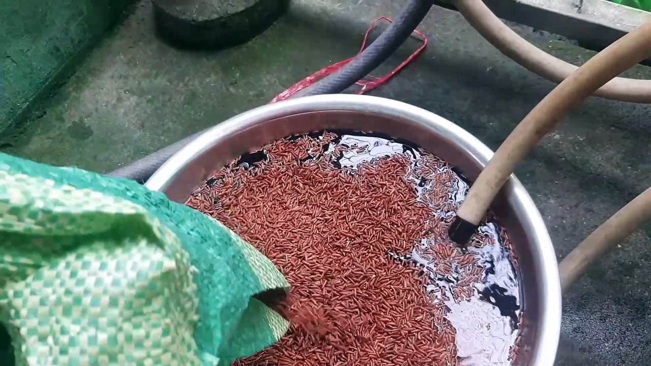 cách chế biến bột gạo lứt huyết rồng giảm cân ở nhà trong 20 min