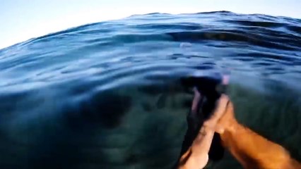 Drone spearfishing short