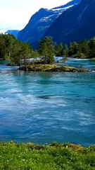 Sahih Muslim Hadees No 550,551.#shorts videos