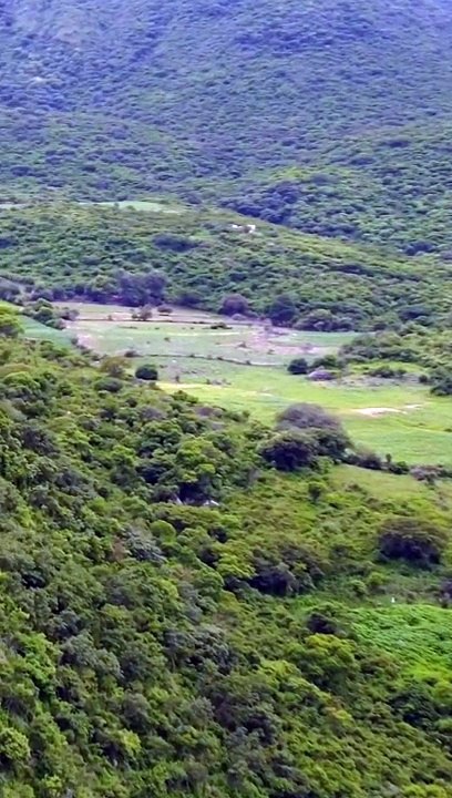 Sahih Muslim Hadees No 552#shorts #videos #nature