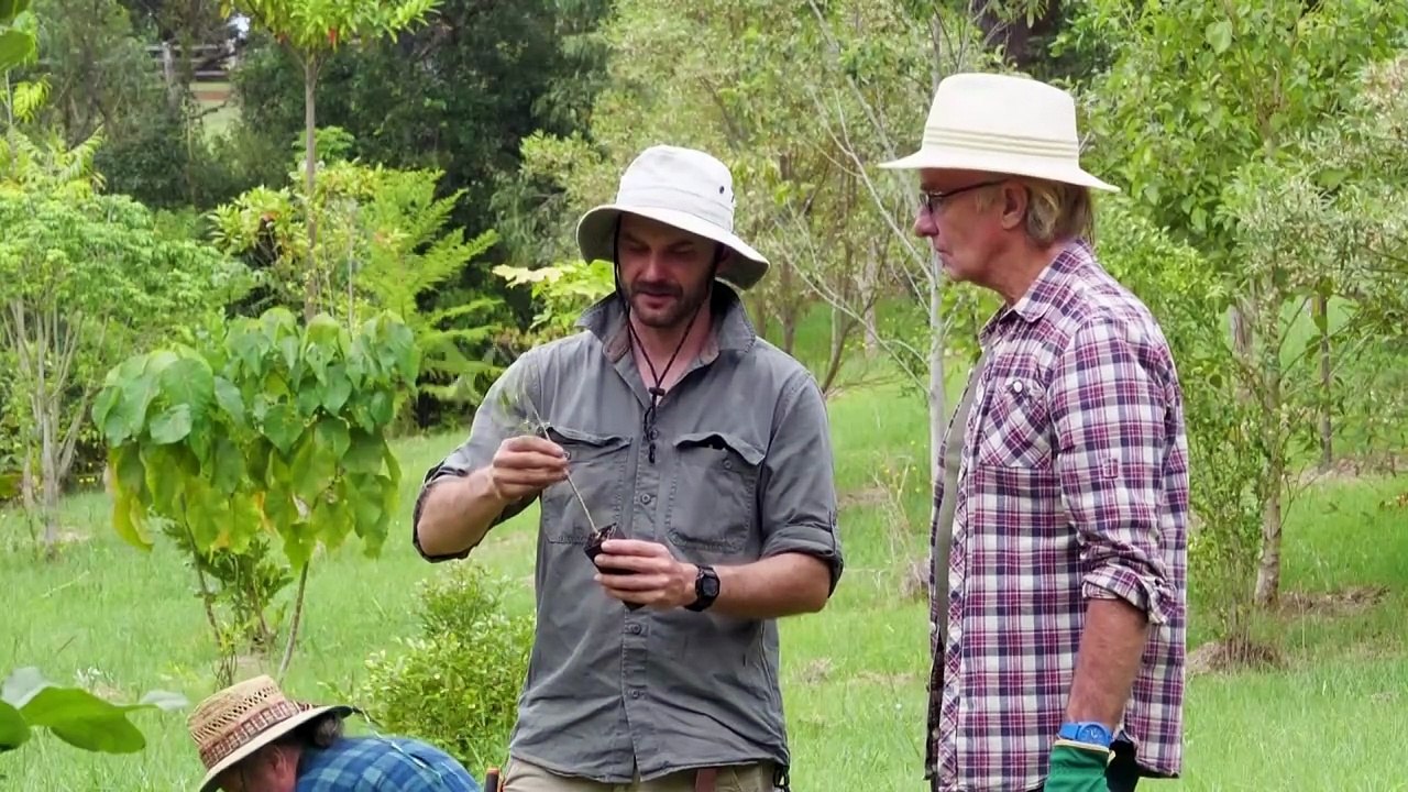 'Koala corridors' to save Australia's endangered marsupial