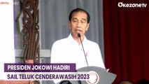 Presiden Jokowi Hadiri Sail Teluk Cendrawasih 2023, Kenalkan Pesona Laut Papua