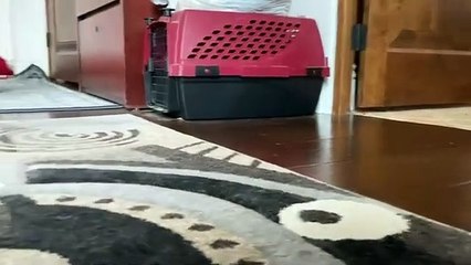 Yes, In Front Of My Salad Bar | Abigaiil Morris, Siri Dahl